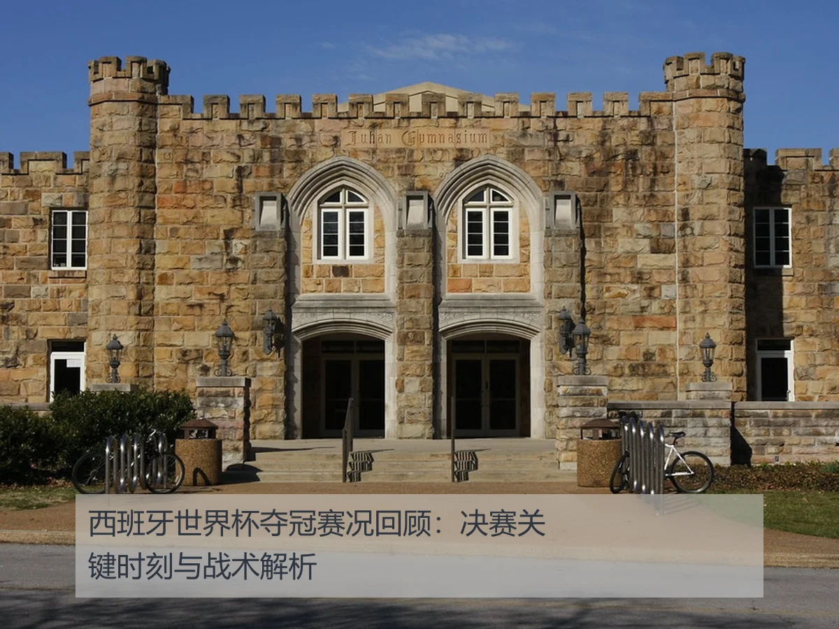 西班牙世界杯夺冠赛况回顾:决赛关键时刻与战术解析